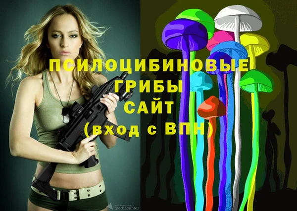 ГАЛЛЮЦИНОГЕННЫЕ ГРИБЫ Алексин