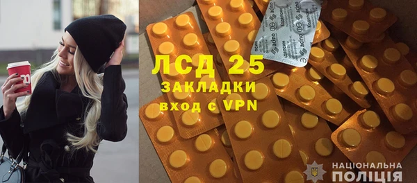 ГАЛЛЮЦИНОГЕННЫЕ ГРИБЫ Алексин